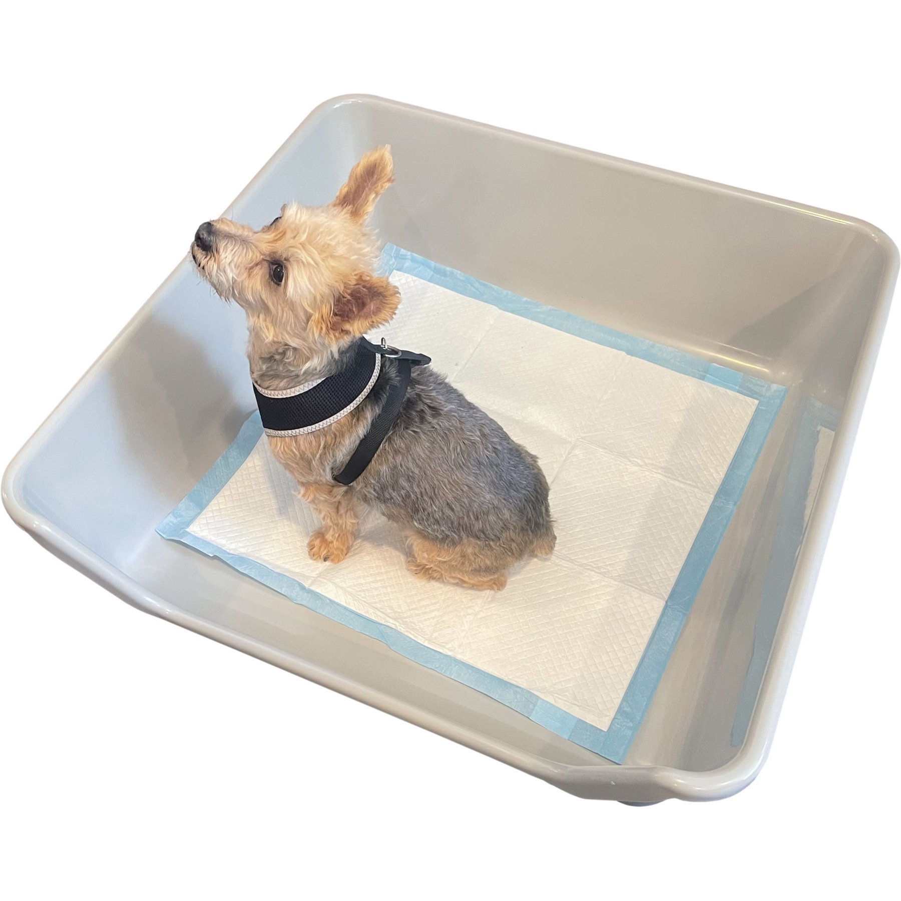 Dog Playpen MEEXPAWS Dog Pee Pad Holder Large With Dog Litter Box