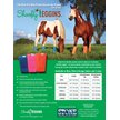 Show in main carousel: Shoofly Leggins Horse Fly Boots, 4 count, Pink, Medium slide 2 of 4