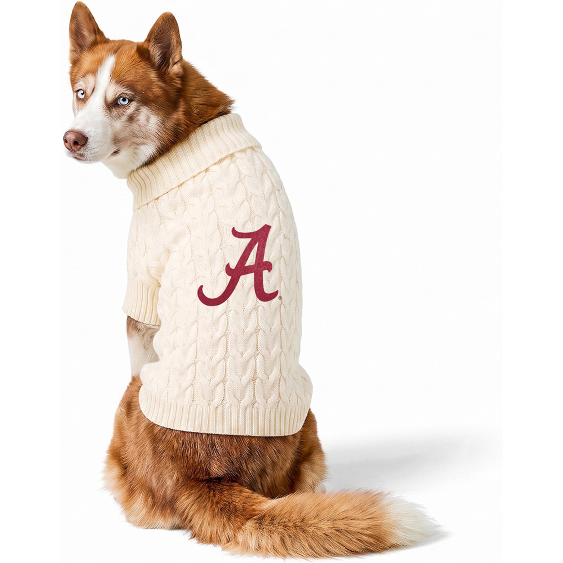 ShopInstaPets Knit Polyester Machine Washable Dog Sweater, White, Large, Alabama Crimson Tide