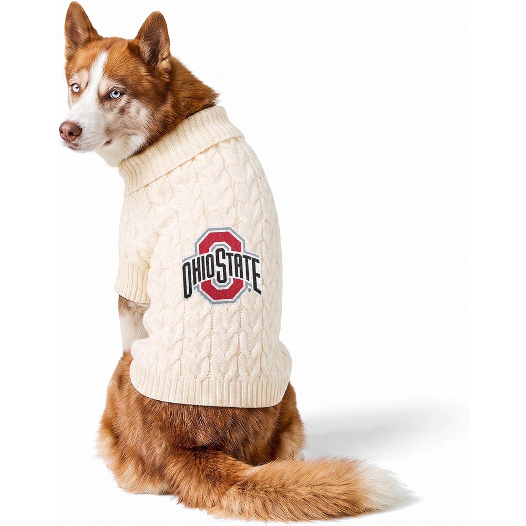 ShopInstaPets Knit Polyester Machine Washable Dog Sweater, White, Large, Ohio State Buckeyes