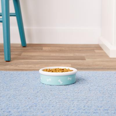Show full view: Signature Housewares Bones Ceramic Dog Bowl, Aqua, 1-cup slide 4 of 8