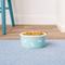 Show in main carousel: Signature Housewares Bones Ceramic Dog Bowl, Aqua, 3-cup slide 3 of 7
