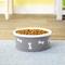 Show in main carousel: Signature Housewares Bones Non-Skid Ceramic Dog Bowl, Gray, 5.25-cup slide 4 of 8