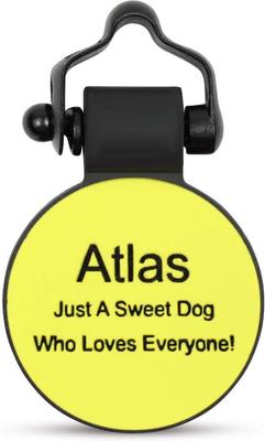 Show full view: SiliDog The Silent Dog Tag Silicone Circle Personalized Dog & Cat ID Tag, Yellow slide 1 of 4