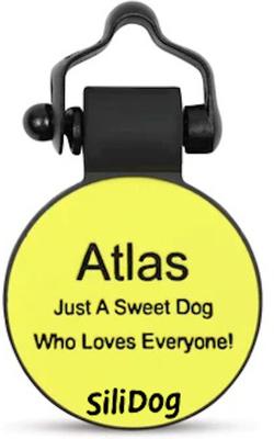 Show full view: SiliDog The Silent Pet Tag Flower Dog & Cat ID Tag, Yellow slide 2 of 2
