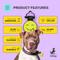 Show in main carousel: SiliDog The Silent Pet Tag Silicone Silly Face Personalized Dog & Cat ID Tag, Yellow slide 5 of 7