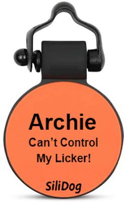 Show full view: SiliDog The Silent Pet Tag Turkey Dog & Cat ID Tag, Orange slide 2 of 2