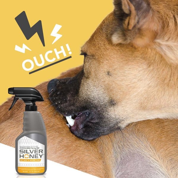 Silver Honey Hot Spot & Wound Care Spray Gel
