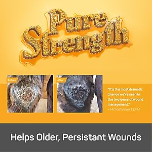 Silver Honey Rapid Wound Repair Antimicrobial Horse Ointment, 2-oz tube