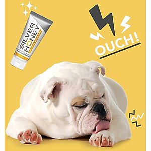 Silver Honey Rapid Wound Repair Antimicrobial Horse Ointment, 2-oz tube