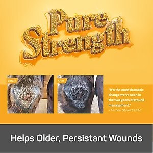 Silver Honey Rapid Wound Repair Antimicrobial Horse Ointment, 2-oz tube
