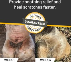 Silver Honey Rapid Wound Repair Antimicrobial Ointment, 2-oz tube + Vet Strength Scratches Horse Wound Care Spray, 6-oz bottle slide 2 of 9