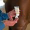 Show in main carousel: Silver Honey Rapid Wound Repair Antimicrobial Ointment, 2-oz tube + Vet Strength Scratches Horse Wound Care Spray, 6-oz bottle slide 4 of 9