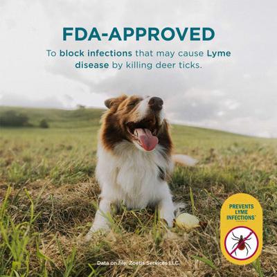 Show full view: Simparica Chewable Tablet for Dogs, 22.1-44 lbs, (Mint Box), 12 Chewable Tablets (12-mos. supply) slide 6 of 11