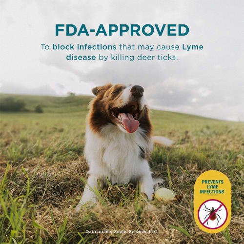 Show full view: Simparica Chewable Tablet for Dogs, 44.1-88 lbs, (Green Box), 6 Chewable Tablets (6-mos. supply) slide 5 of 10
