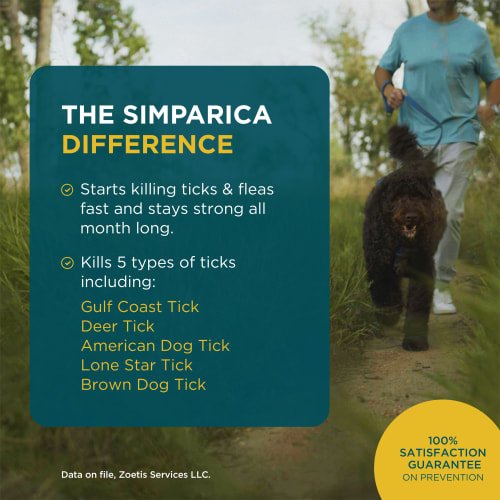 Show full view: Simparica Chewable Tablet for Dogs, 44.1-88 lbs, (Green Box), 6 Chewable Tablets (6-mos. supply) slide 4 of 10