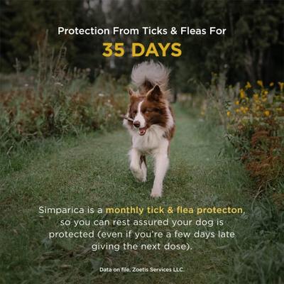 Show full view: Simparica Chewable Tablet for Dogs, 88.1-132 lbs, (Brown Box), 6 Chewable Tablets (6-mos. supply) slide 3 of 10