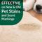 Show in main carousel: Simple Green Bio Dog Stain & Odor Remover, 1-gal jug slide 7 of 11