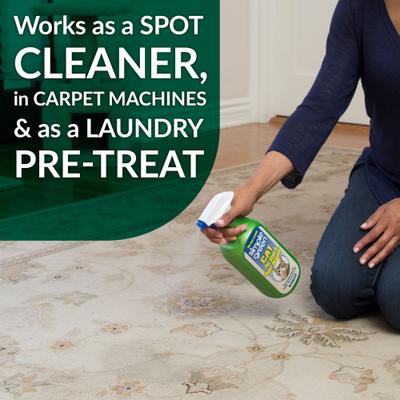 Show full view: Simple Green Cat Stain & Odor Remover, 32-fl oz bottle slide 6 of 9