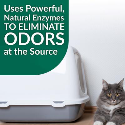 Show full view: Simple Green Cat Stain & Odor Remover, 32-fl oz bottle slide 5 of 9