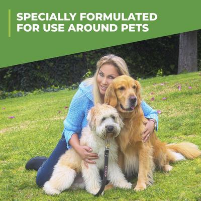 Show full view: Simple Green Outdoor Dog & Cat Odor Eliminator, 32-fl oz bottle slide 6 of 10