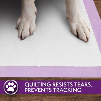 Show full view: Simple Solution 6-Layer All Day Premium Dog Pads, 23 x 24, Lavender Scent, 100 count slide 6 of 10