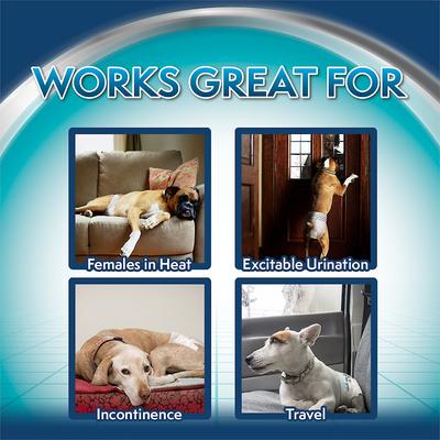 Show full view: Simple Solution Disposable Female Dog Diapers, Medium: 15 to 23-in waist, 30 count slide 9 of 10