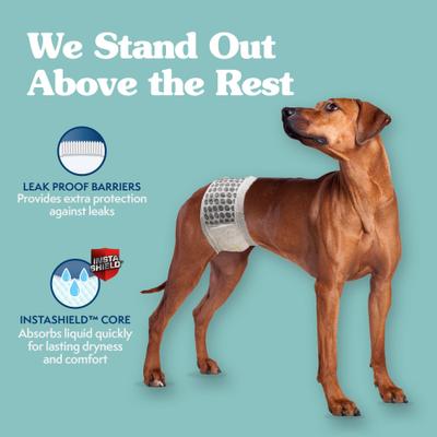 Show full view: Simple Solution Disposable Male Dog Wrap, Large: 18 to 27-in waist, 30 count slide 6 of 10