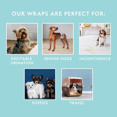 Show full view: Simple Solution Disposable Male Dog Wrap, Small: 12 to 19-in waist, 30 count slide 5 of 10