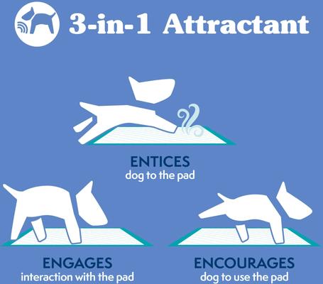 Show full view: Simple Solution Extra Large, 6 Layer Training Puppy Pads, 200 count slide 6 of 8