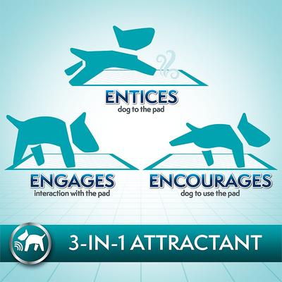 Show full view: Simple Solution Extra Large Training Pads, 28" x 30", 50 count slide 5 of 12