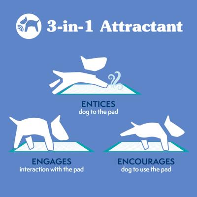 Show full view: Simple Solution Original Training Pads, 23" x 24", 100 count slide 6 of 9