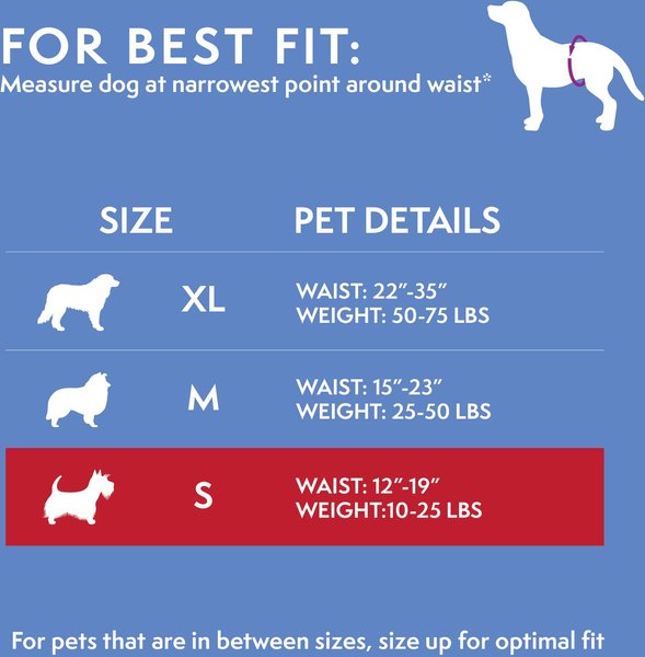 Show full view: Simple Solution Washable Female Dog Diaper, Small: 12 to 19-in waist slide 4 of 10