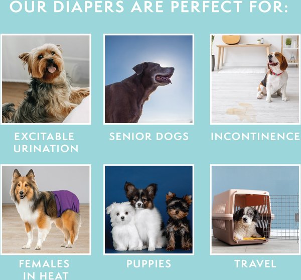 Show full view: Simple Solution Washable Female Dog Diaper, Small: 12 to 19-in waist slide 5 of 10