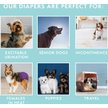 Show in main carousel: Simple Solution Washable Female Dog Diaper, Small: 12 to 19-in waist slide 5 of 10