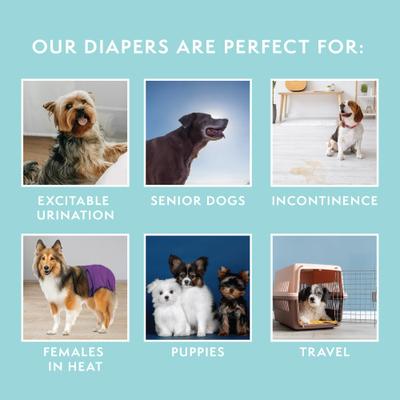 Show full view: Simple Solution Washable Female Dog Diaper, X-Large: 22 to 35-in waist slide 5 of 10