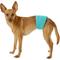 Show in main carousel: Simple Solution Washable Male Dog Wrap, Small: 12 to 14-in waist, bundle of 2 slide 4 of 12