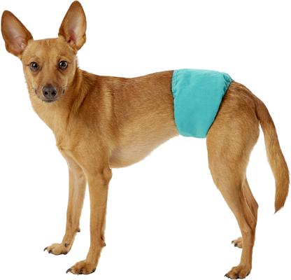 Show full view: Simple Solution Washable Male Dog Wrap, Small: 12 to 14-in waist, bundle of 2 slide 4 of 12