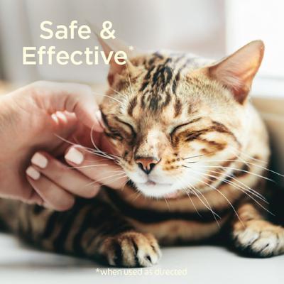 Show full view: SimpleSource Flea & Tick Cat Shampoo slide 6 of 10