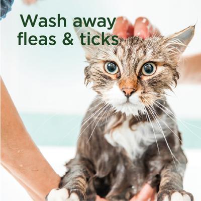 Show full view: SimpleSource Flea & Tick Cat Shampoo slide 9 of 10