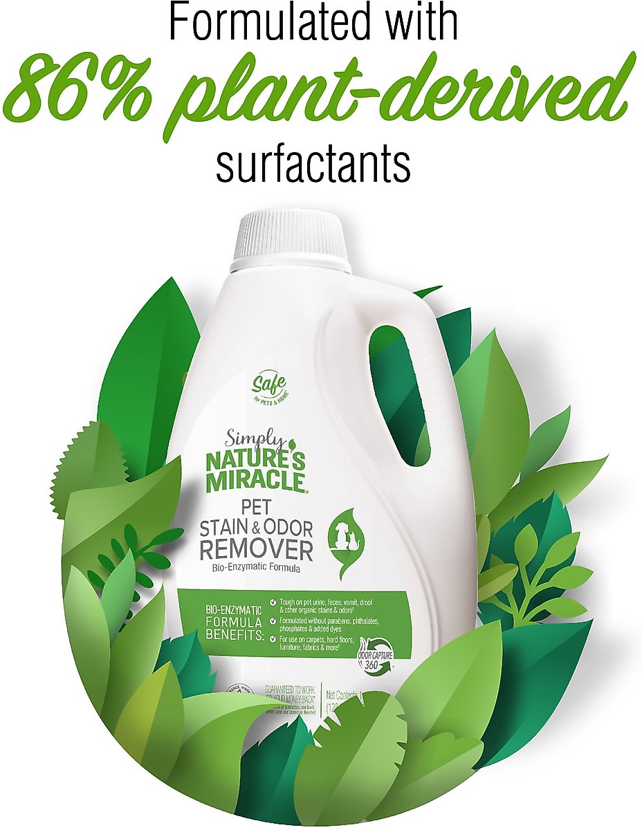 Pet Stain Miracle Carpet Cleaner Enzyme Cleaner For Cat Urine