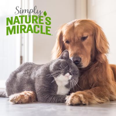 Show full view: Simply Nature's Miracle Pet Stain & Odor Remover, 16-fl oz bottle slide 7 of 7