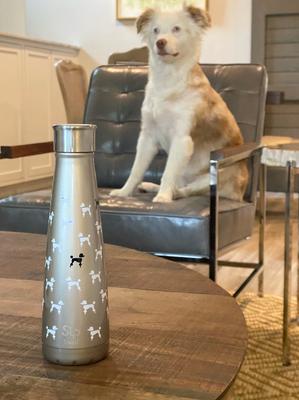 Show full view: S'ip by S'well French Standard Stainless Steel Water Bottle, 15-oz slide 4 of 6