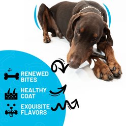 Sitka Farms 6-inch Collagen Bee Pollen Flavor Dog Natural Chew Treats, 6 count slide 2 of 8