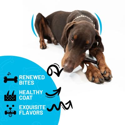 Show full view: Sitka Farms 6-inch Collagen Dog Natural Chew Treats, 6 count slide 5 of 9