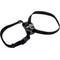 Show in main carousel: Size Right Snag-Proof Adjustable Cat Harness, Black slide 1 of 2