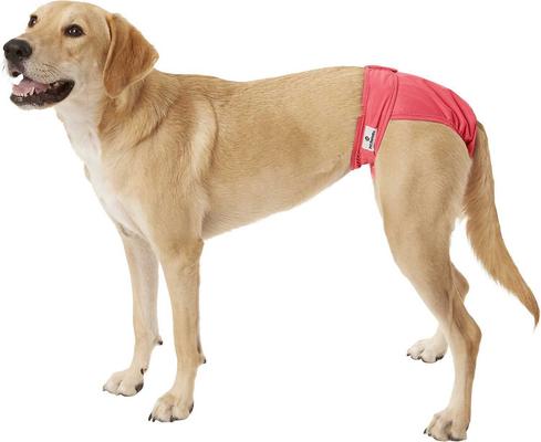 Show full view: Skout's Honor Laundry Booster Stain & Odor Removal Additive + Pet Parents Washable Male & Female Dog Diapers, Princess, Large: 19 to 27-in waist, 3 count slide 8 of 8