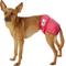 Show in main carousel: Skout's Honor Laundry Booster Stain & Odor Removal Additive + Pet Parents Washable Male & Female Dog Diapers, Princess, Small: 9 to 15-in waist, 3 count slide 8 of 8