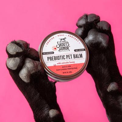 SKOUT'S HONOR Prebiotic Dog Cat Balm, 2-fl oz jar