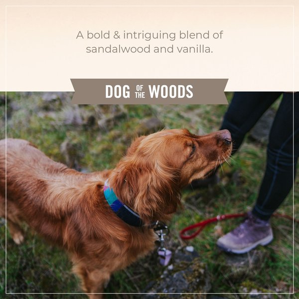 Show full view: Skout's Honor Probiotic Dog of the Woods Dog Detangler, 8-fl oz spray slide 6 of 8
